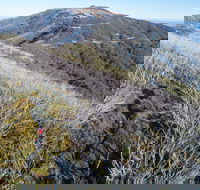 Mt Buller Bike Park - Accommodation VIC