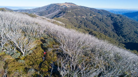 Mt Buller Bike Park - Accommodation VIC 0