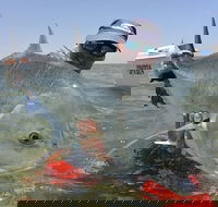 Ningaloo Fly Fishing - Accommodation VIC