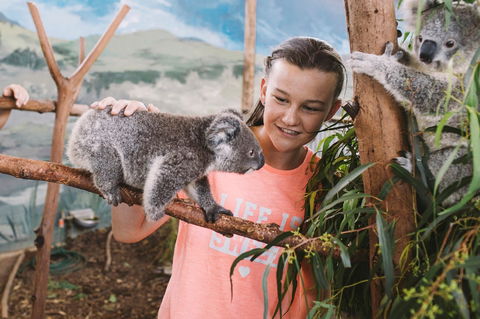 Oakvale Wildlife Park - Accommodation VIC 0