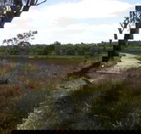 Penola Conservation Park - Accommodation VIC