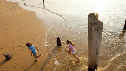 Phillip Island - Accommodation VIC 0