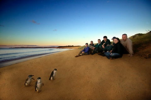 Phillip Island - Accommodation VIC 2