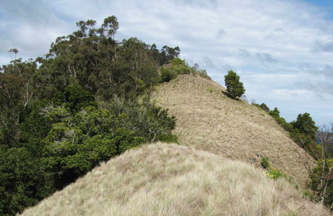 Pieries Peak Walking Track - Accommodation VIC 0