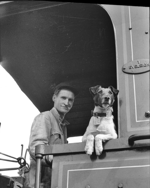 Railway Temora - Accommodation VIC 0