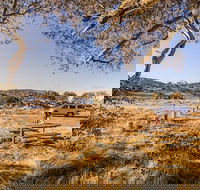 Rennix walking track - Accommodation VIC