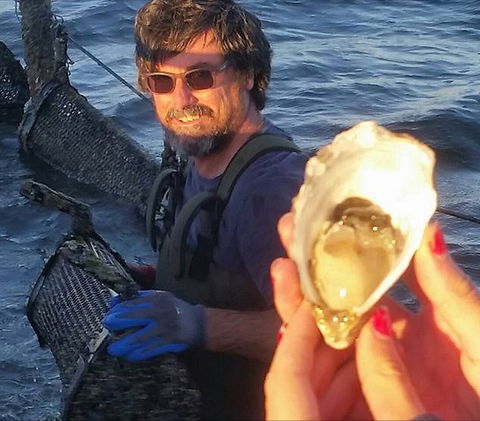 Southern Yorke Oysters - Accommodation VIC 0