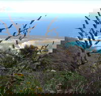 Strzelecki Peaks Great Short Walk - Accommodation VIC