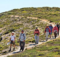 The Sole Walk at Hillocks Drive - Accommodation VIC