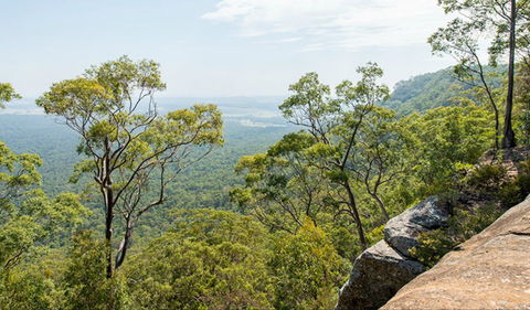 The Narrow Place Lookout - Accommodation VIC 0