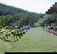 Timbertops - Horse Riding - Accommodation VIC