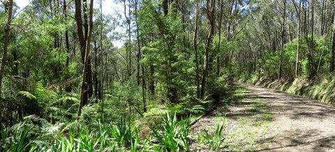 Tyers Park - Accommodation VIC 0