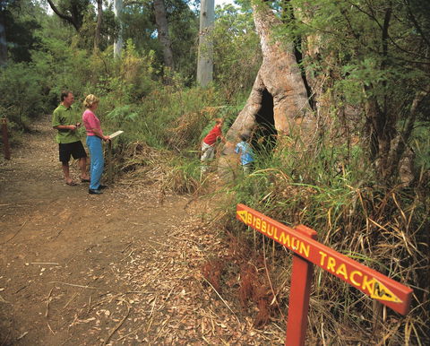 Walpole-Nornalup National Park - Accommodation VIC 1