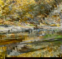 Warrabah National Park - Accommodation VIC