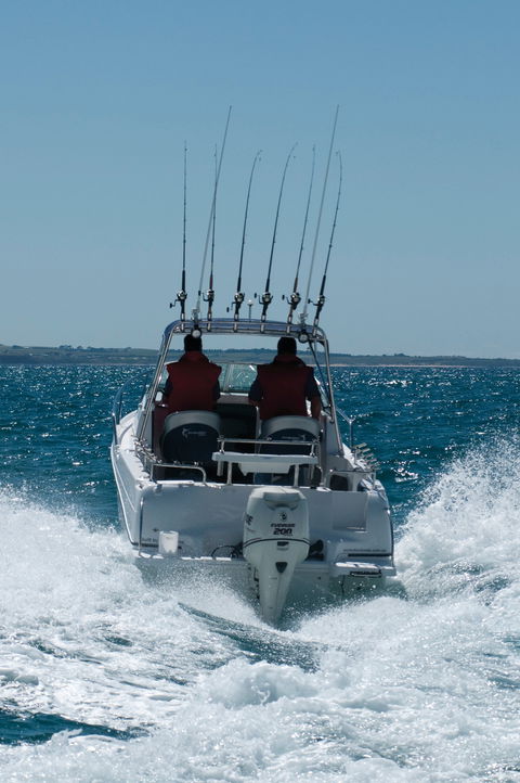 Western Port - Accommodation VIC 1
