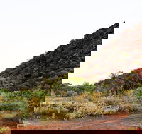 Whyalla Conservation Park - Accommodation VIC