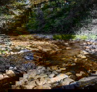 Wilson River picnic area - Accommodation VIC