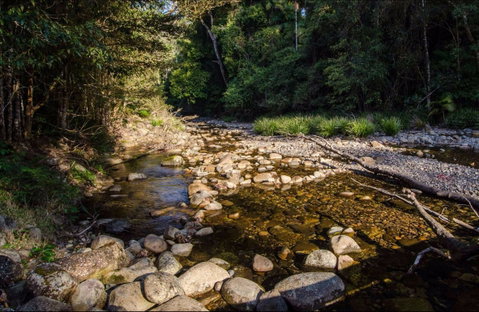 Wilson River Picnic Area - Accommodation VIC 0