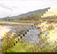 Willis picnic area - Accommodation VIC