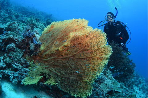Wistari Wall - Accommodation VIC 0