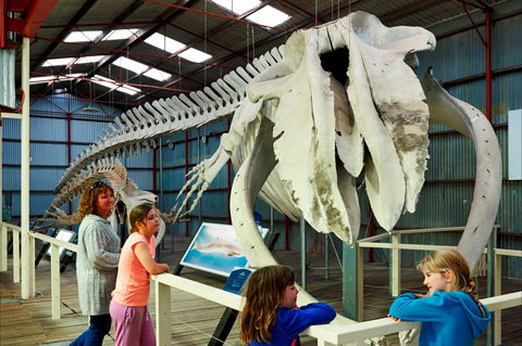 Albany's Historic Whaling Station - Accommodation VIC 2