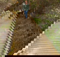 Balcombe Creek Estuary Boardwalk - Accommodation VIC