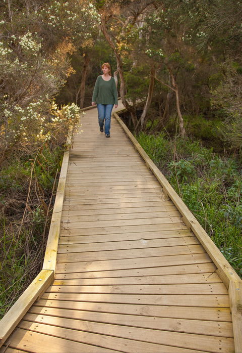 Balcombe Creek Estuary Boardwalk - Accommodation VIC 0
