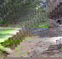 Bangadilly National Park - Accommodation VIC