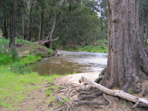 Bangadilly National Park - Accommodation VIC 0