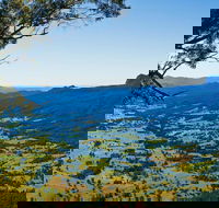 Blackbutt Lookout Picnic Area - Accommodation VIC