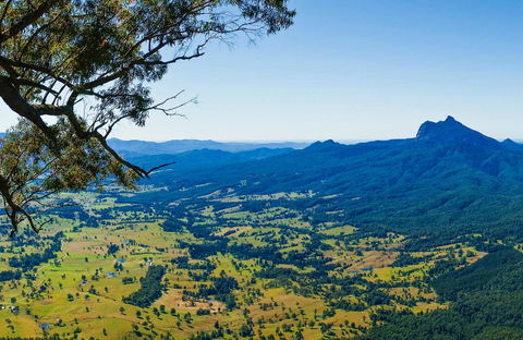 Blackbutt Lookout Picnic Area - Accommodation VIC 0