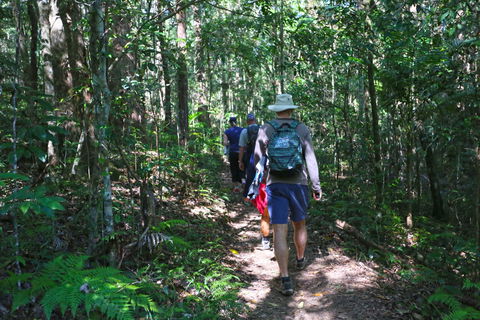 Booloumba Falls Walk, Conondale National Park - Accommodation VIC 1
