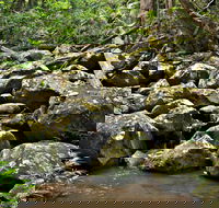 Booyong Walking Track - Accommodation VIC