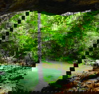 Buderim - Accommodation VIC