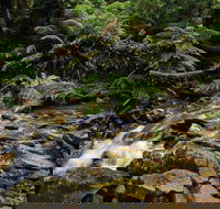 Budderoo National Park - Accommodation VIC
