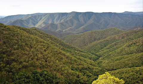 Budds Mare To Riverside Walking Track - Accommodation VIC 0