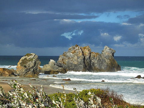 Camel Rock - Accommodation VIC 2