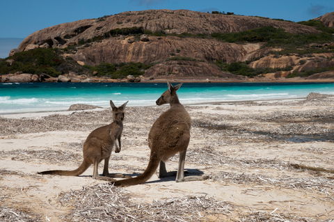 Cape Le Grand National Park - Accommodation VIC 0