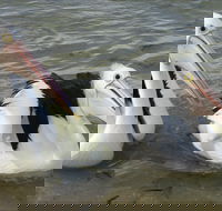 Chinaman Wells - Accommodation VIC