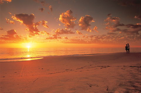 Coastal Art Trail - Accommodation VIC 0