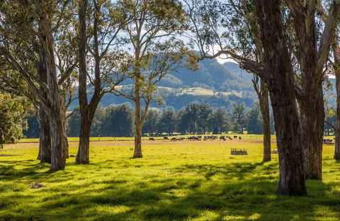 Coast To The Highlands Scenic Drive – Kangaroo Valley - Accommodation VIC 0