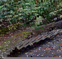 Coombadjha Nature Stroll - Accommodation VIC