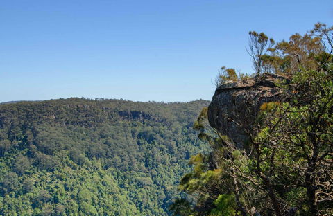 Cooks Nose Walking Track - Accommodation VIC 0