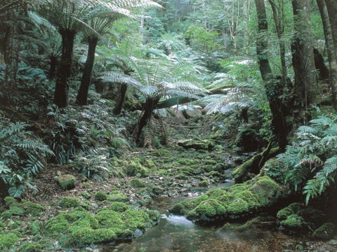 Corn Trail - Accommodation VIC 0