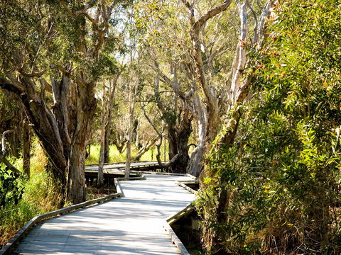 Eagleby Wetlands - Accommodation VIC 1