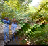 Endeavour Fern Gully Walks - Accommodation VIC