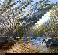 Forest Drive Murrumbidgee Valley National Park - Accommodation VIC
