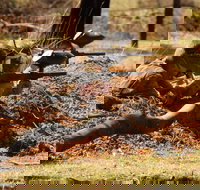 Freycinet Paintball and Campground - Accommodation VIC