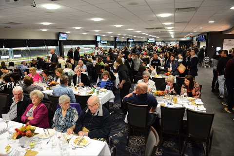 Geelong Greyhound Racing Club - The Beckley Centre - Accommodation VIC 1