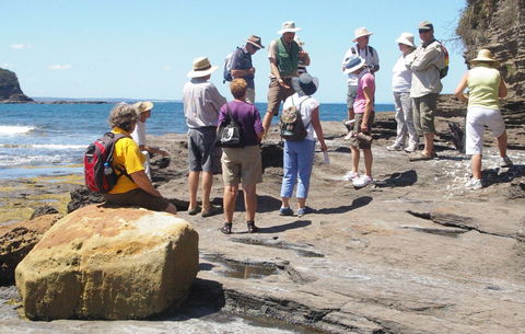 Gondwana Coast Fossil Walk - Accommodation VIC 0